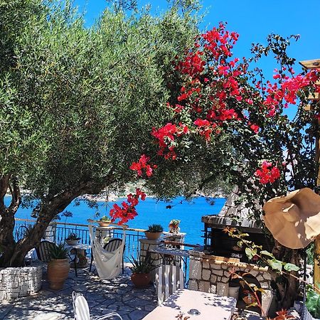 Waterside Apartments Agia Efimia Dış mekan fotoğraf