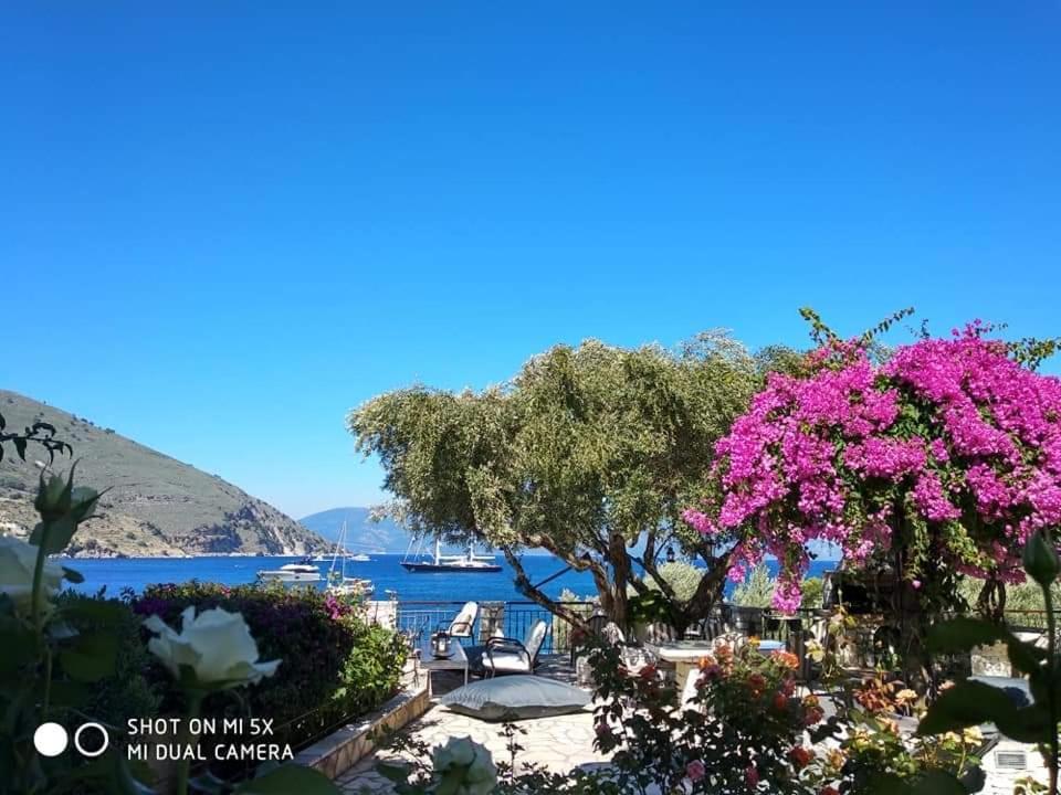 Waterside Apartments Agia Efimia Dış mekan fotoğraf